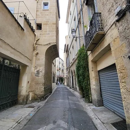 Charming Cozy In Montpellier's Heart